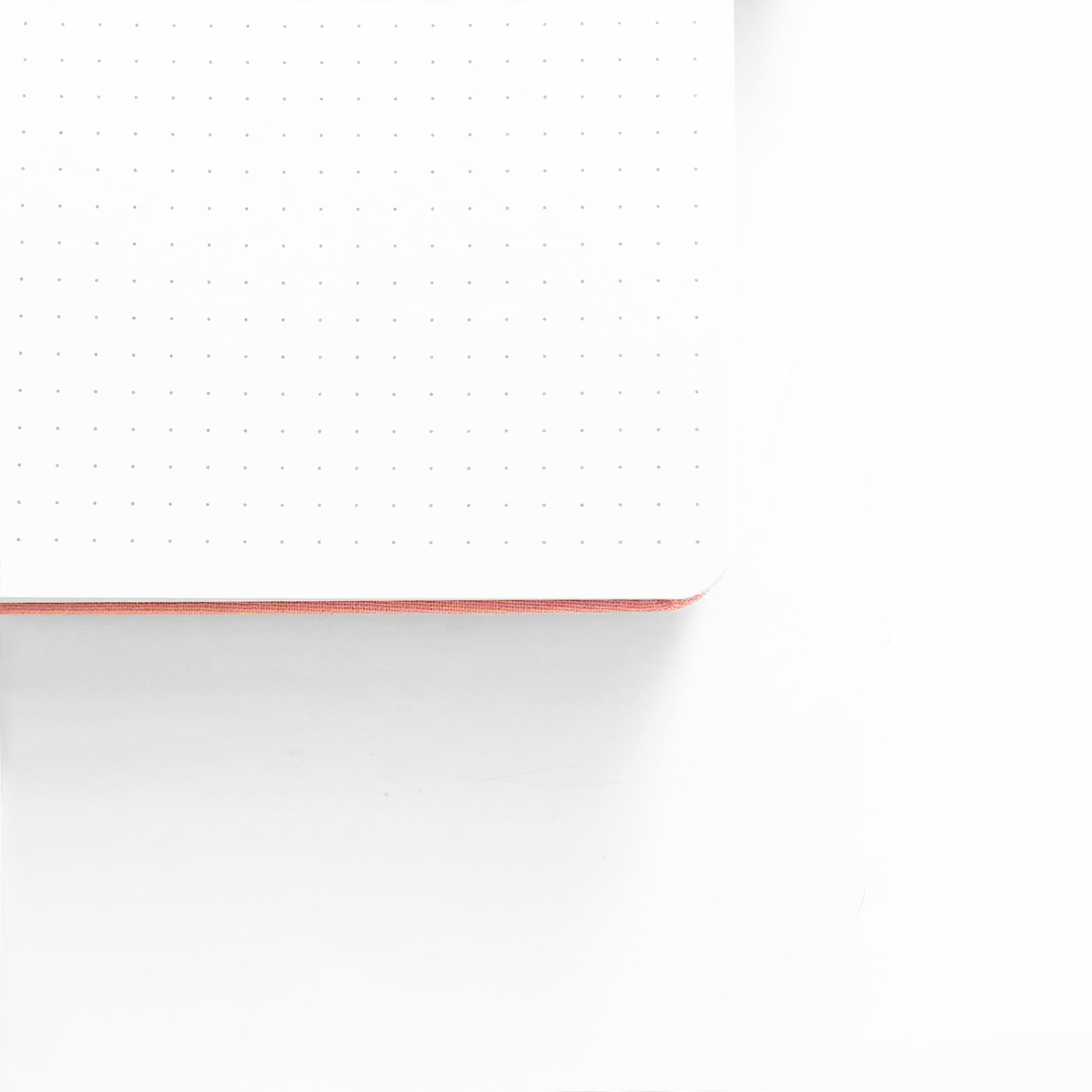 Archer and Olive, Forest Night A5 Dot Grid Notebook
