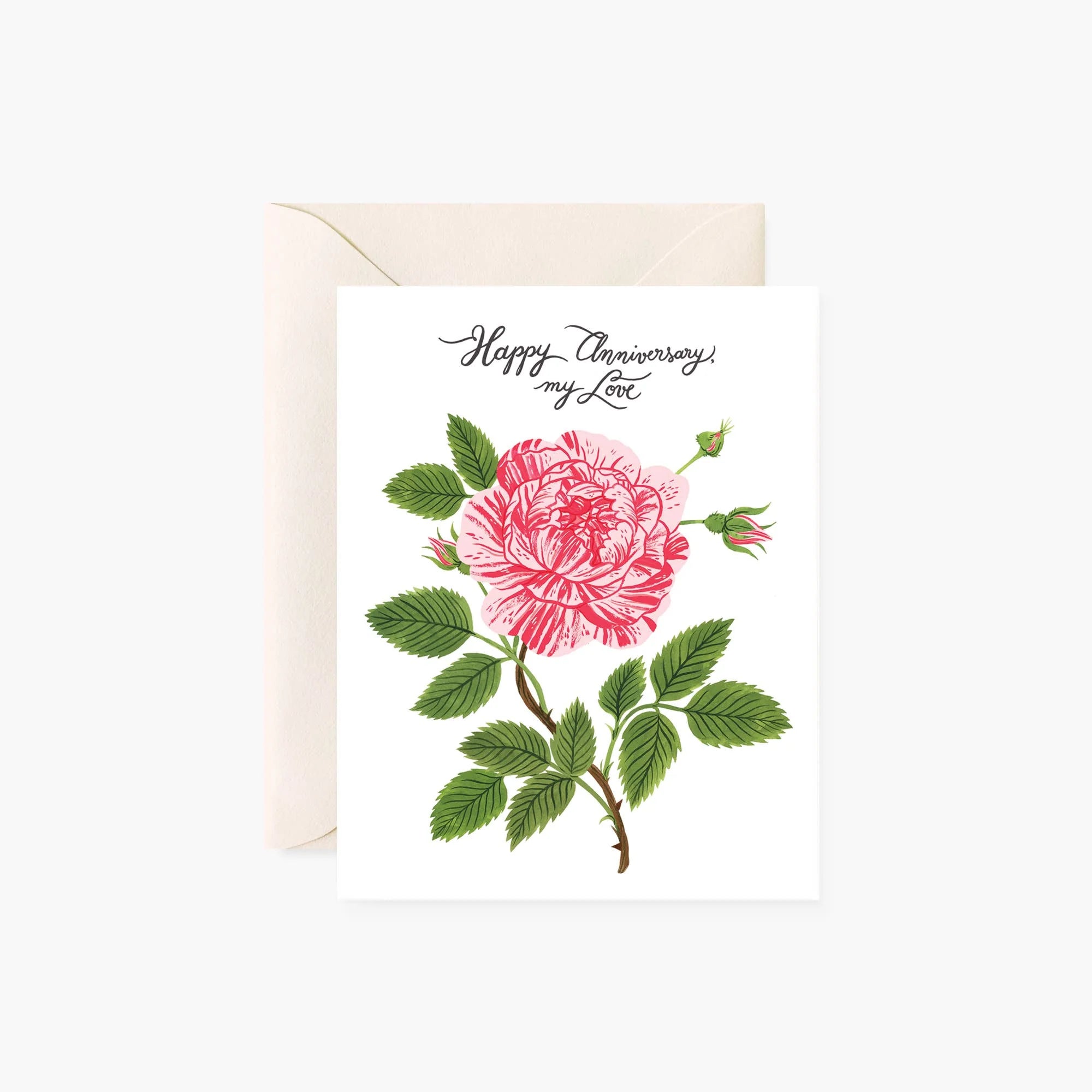 BOTANICA PAPER CO., ANNIVERSARY, PEPPERMINT ROSE