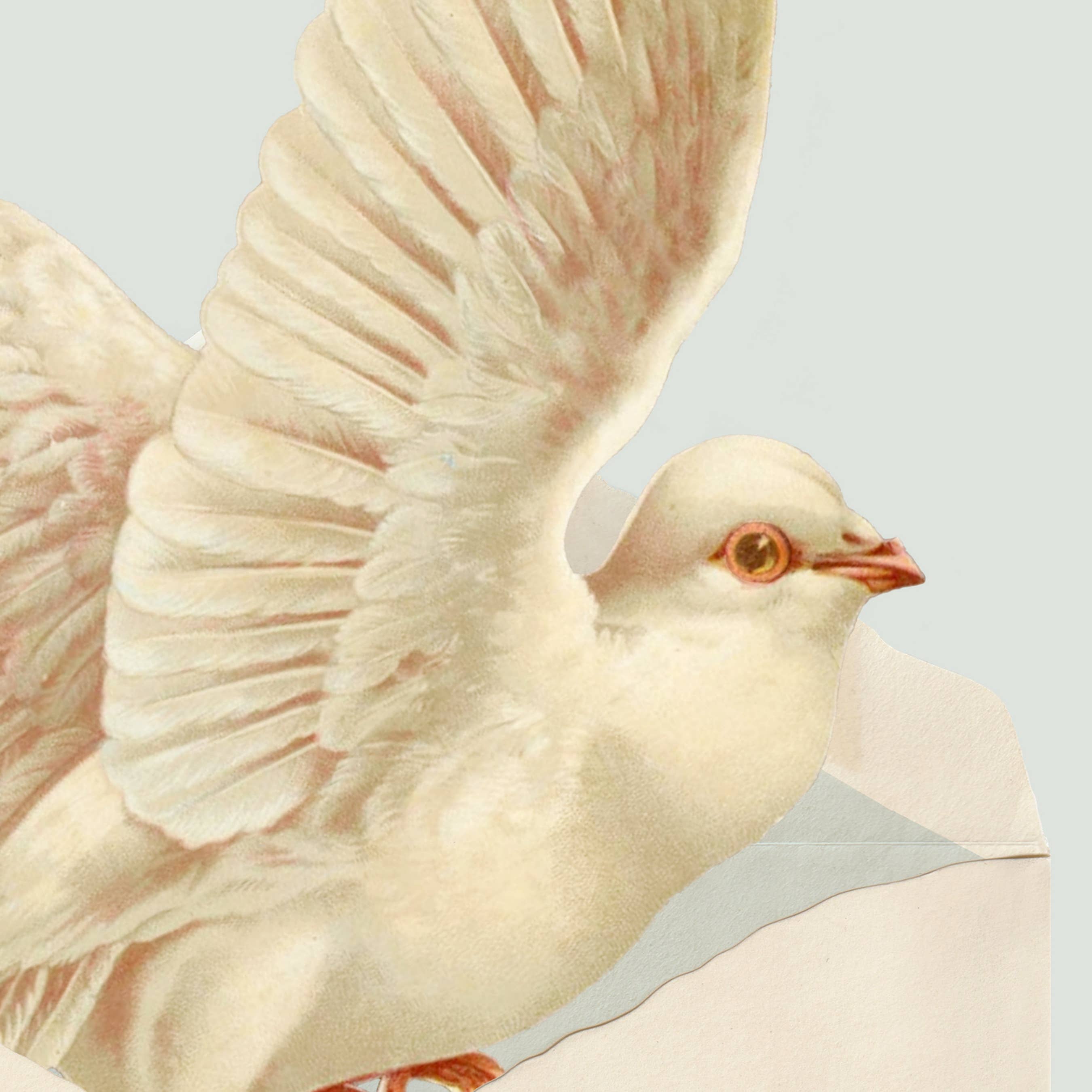 Pictrix Design - "Dove" A6 greeting card