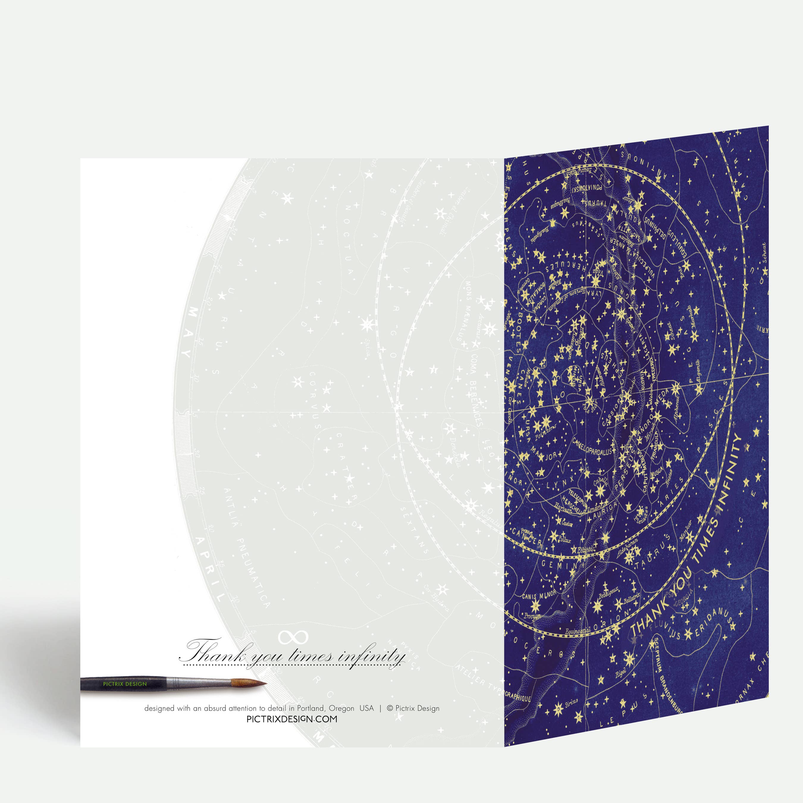 Pictrix Design - "Thank you times infinity" A6 greeting card