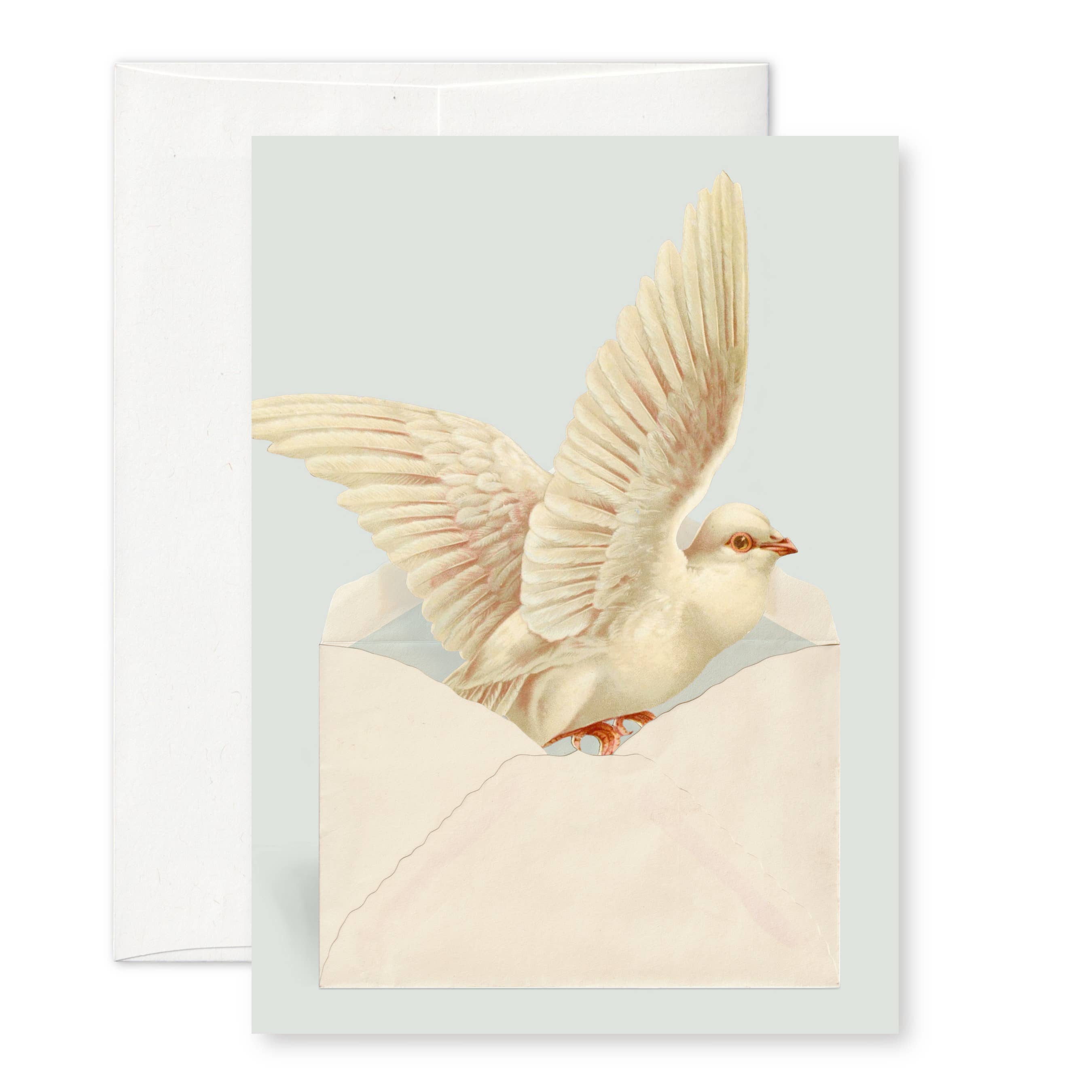 Pictrix Design - "Dove" A6 greeting card