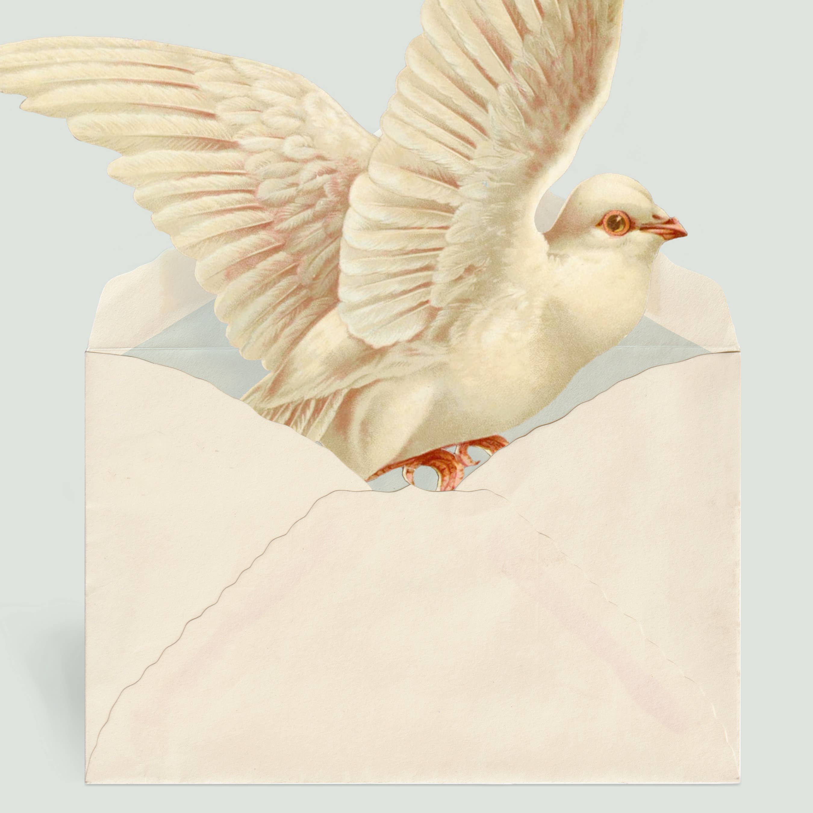 Pictrix Design - "Dove" A6 greeting card