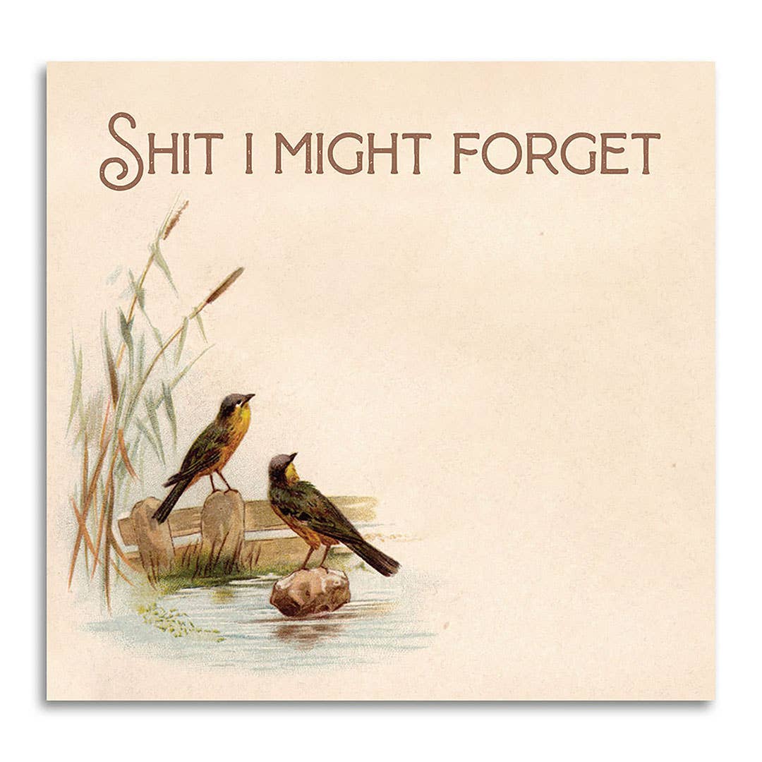 Bad Betty Greeting Co. - Shit I Might Forget - Funny Sarcastic Sticky Note Pad