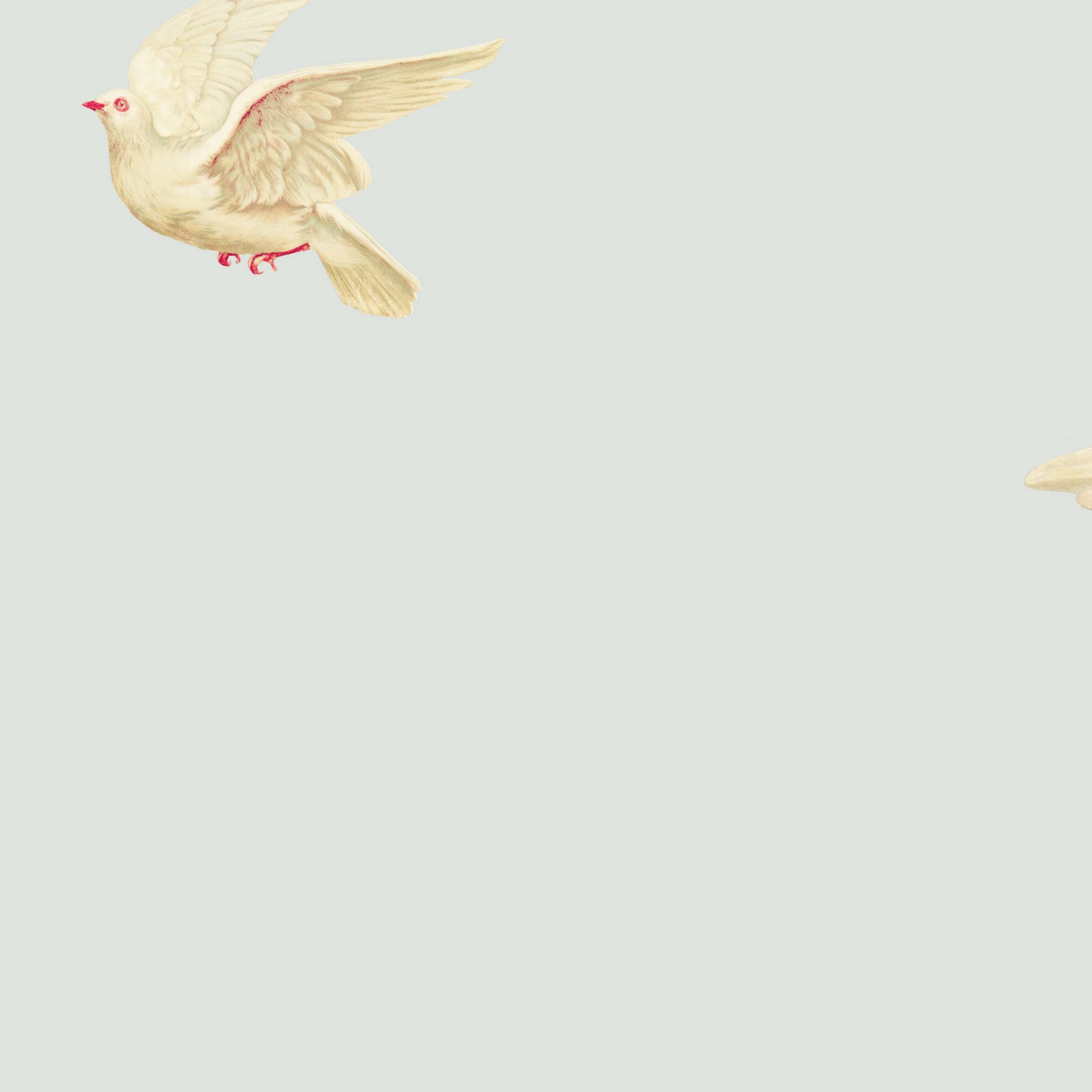 Pictrix Design - "Dove" A6 greeting card