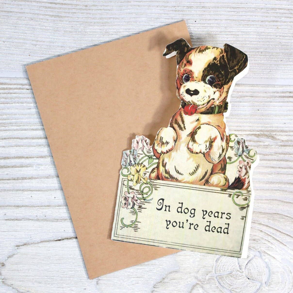 Bad Betty Greeting Co. - In Dog Years You're Dead - Funny Vintage Style Birthday Card