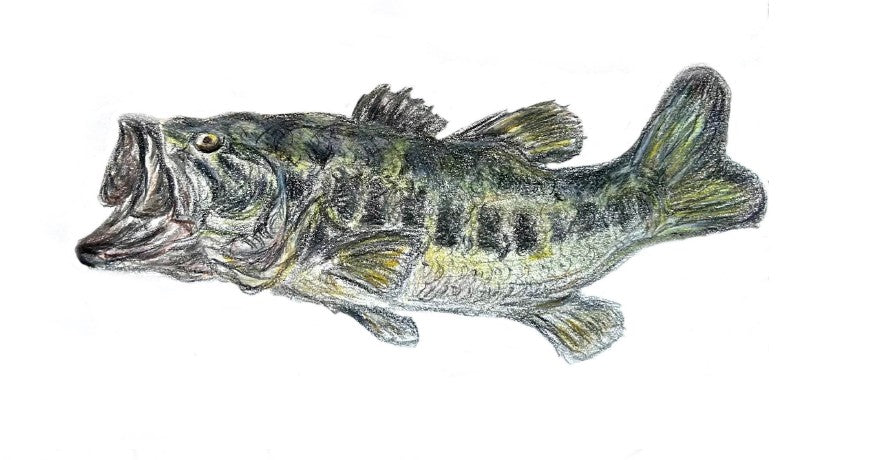 Cabell Crowder Art, Gone Fishing notes, mixed set of 5 folded cards + envelopes