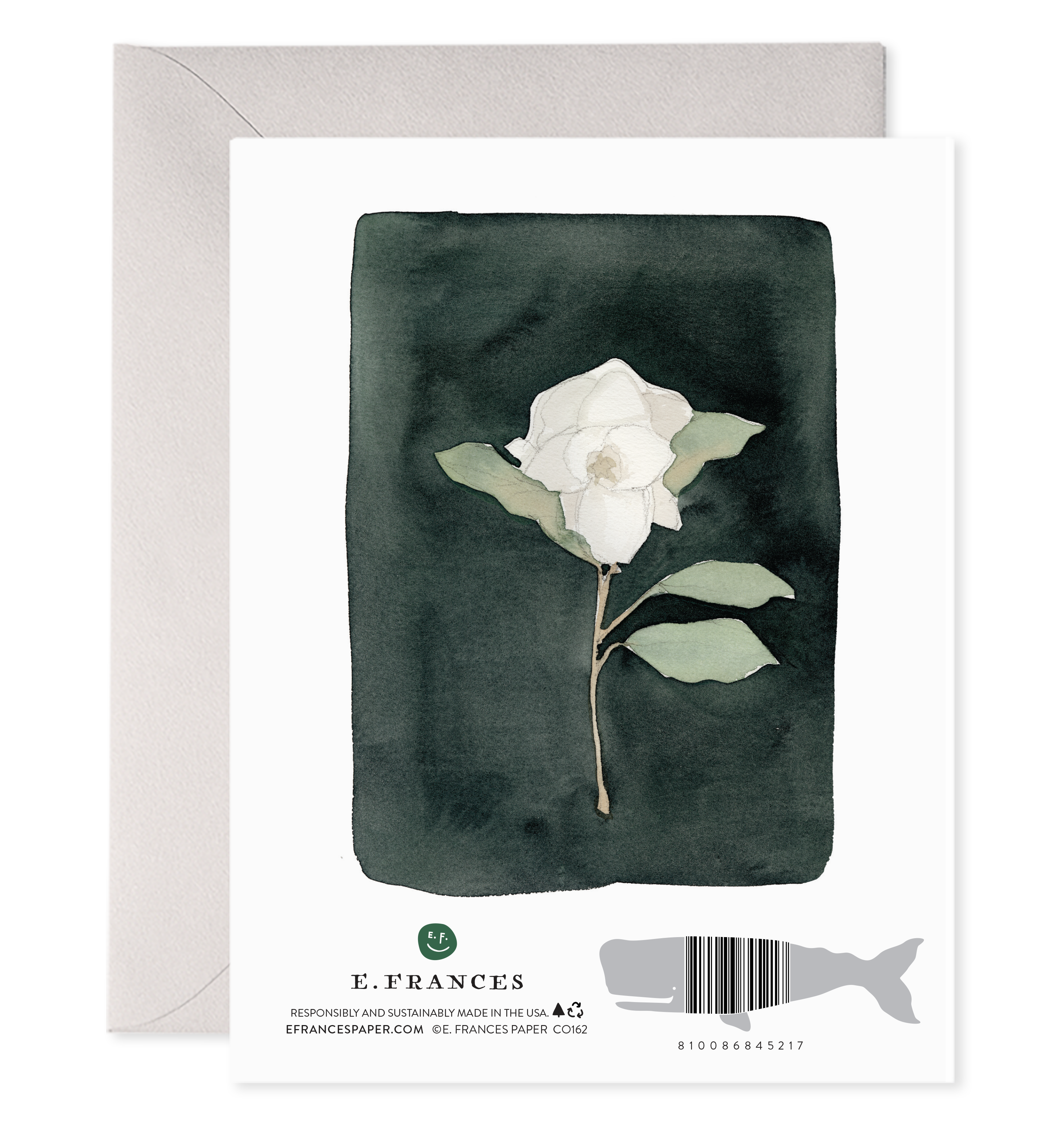 E. Frances Paper - White Flower Sympathy & Condolence Greeting Card