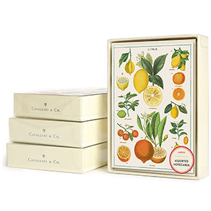 Cavallini Papers & Co., Jardin Boxed Notes