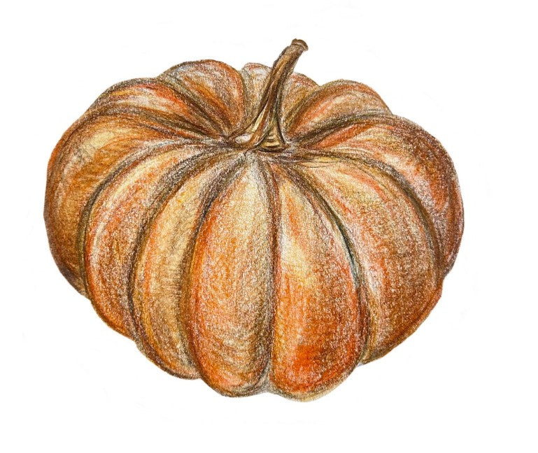 Cabell Crowder Art, Pumpkin notes, set of 5 folded cards + envelopes