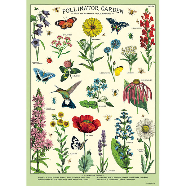 Cavallini Papers & Co, Gift Wrap, Pollinators