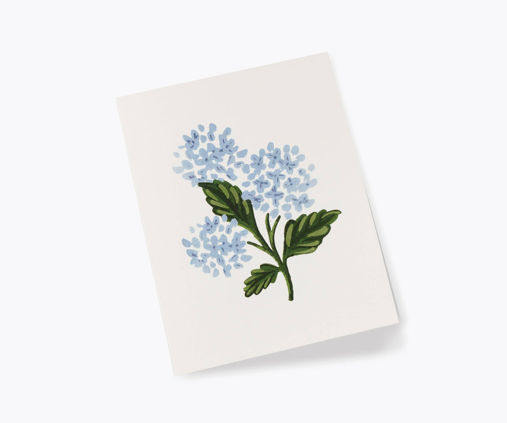 Rifle Paper Co. - Hydrangea Bloom Card