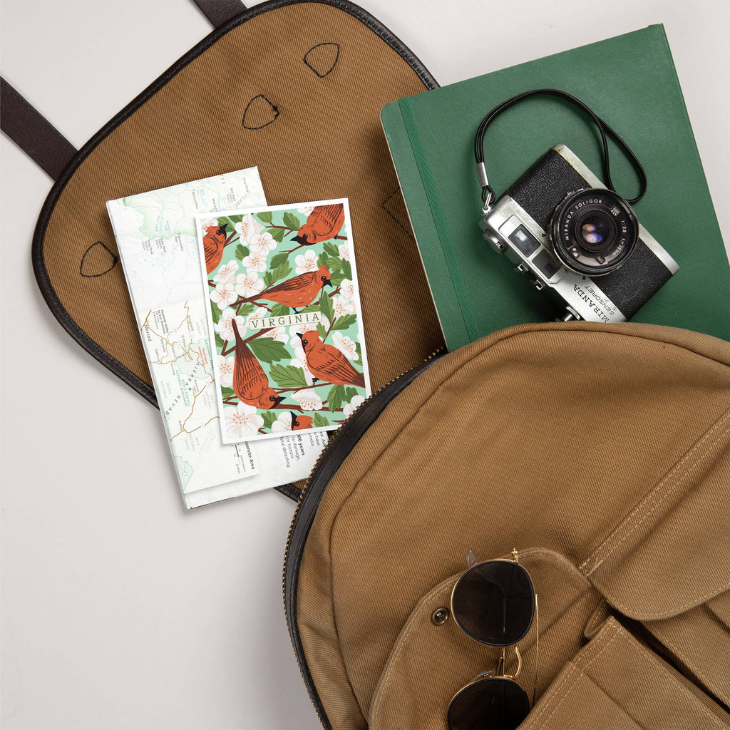 Lantern Press - PREMIUM POSTCARDS Virginia, Cardinal & Hawthorn Pattern