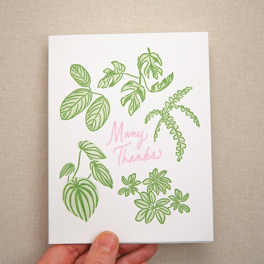 Kindred Letterpress - Houseplant Thank You Card