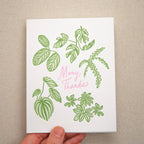 Kindred Letterpress - Houseplant Thank You Card