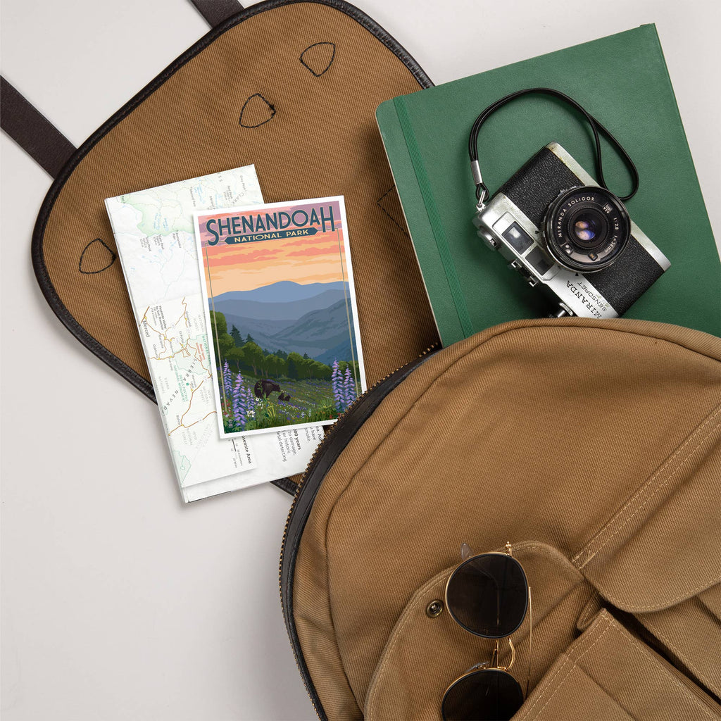 Lantern Press - PREMIUM POSTCARDS Shenandoah National Park, VA, Black Bears