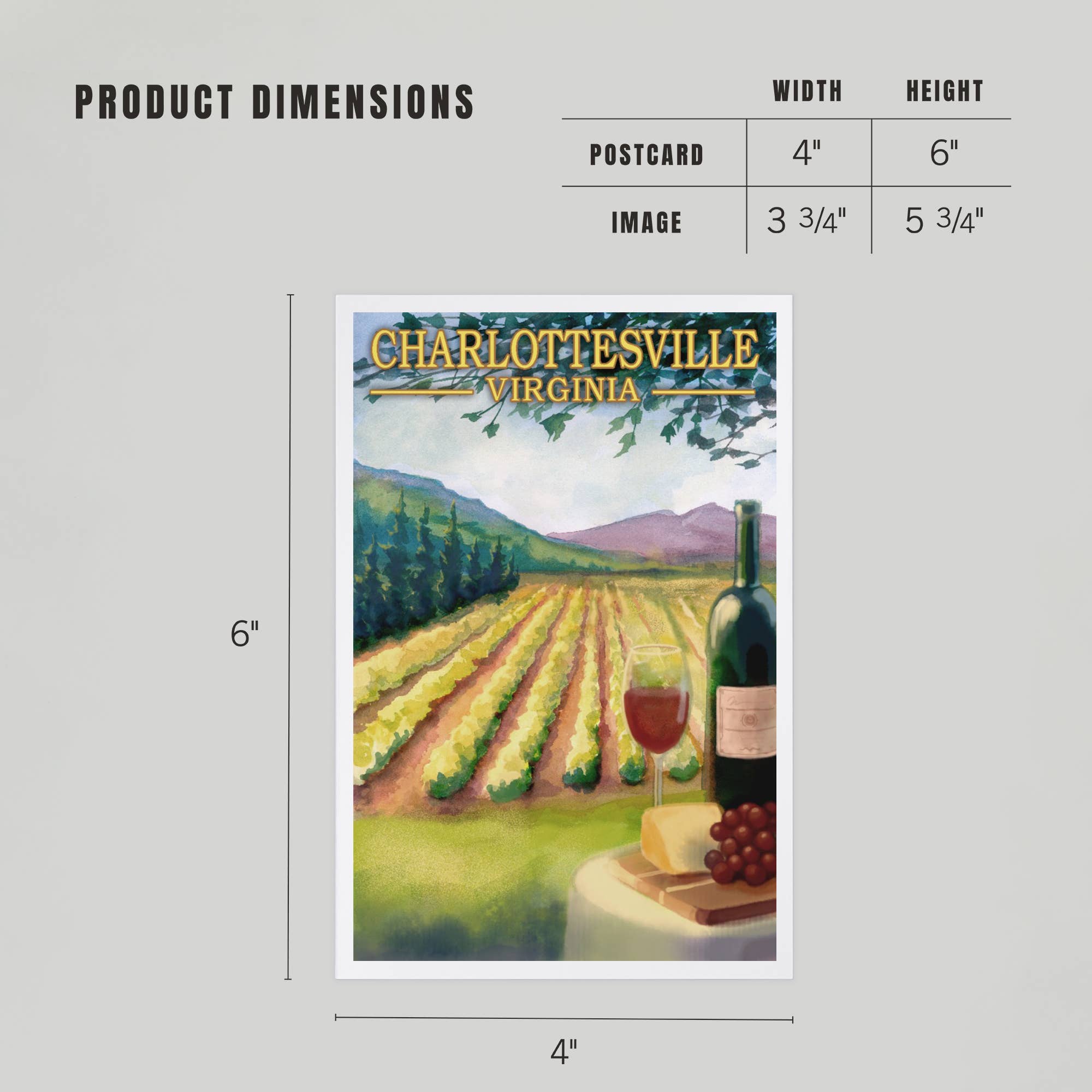 Lantern Press - PREMIUM POSTCARDS Charlottesville, Virginia Wine Vineyard