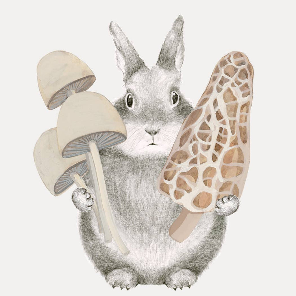 Dear Hancock - Fungi Father's Day