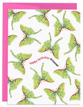 J6R6 - Luna Moth Birthday Card