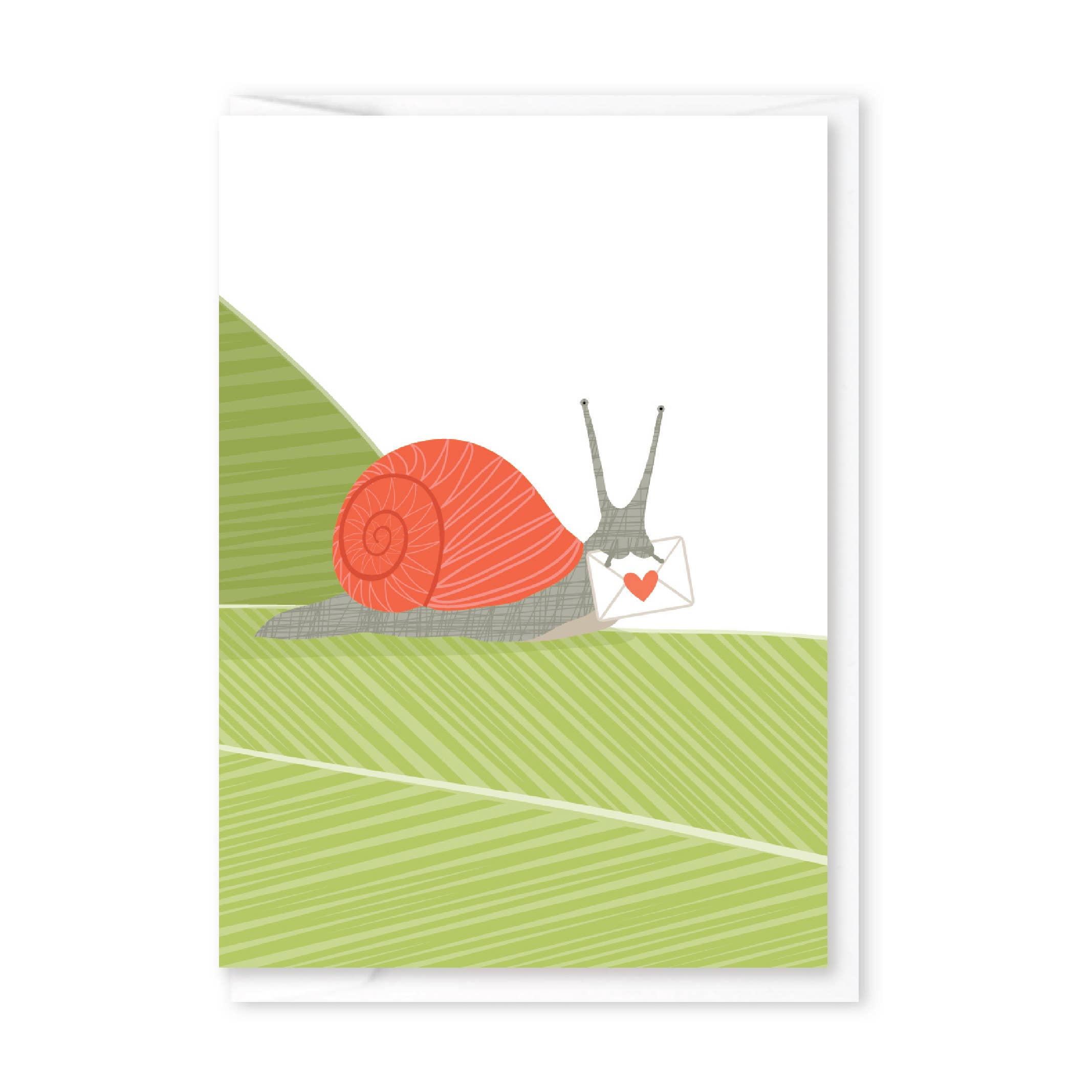 Modern Printed Matter - Snail Mail Enclosure - Box of 8