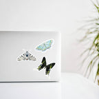 J6R6 - Moth 2 Vinyl Sticker