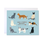Forage Paper Co. - Birthday Cats Card, Cute Animal Birthday Card (Box of 8)