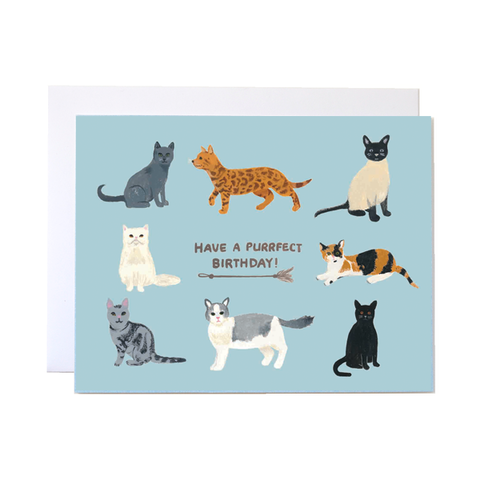 Forage Paper Co. - Birthday Cats Card, Cute Animal Birthday Card (Box of 8)