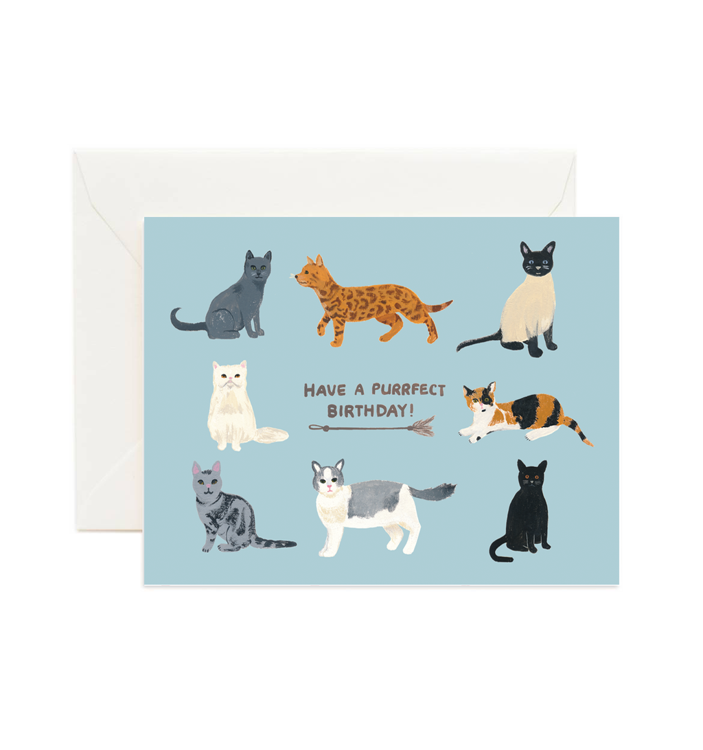 Forage Paper Co. - Birthday Cats Card, Cute Animal Birthday Card (Box of 8)