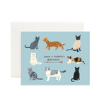 Forage Paper Co. - Birthday Cats Card, Cute Animal Birthday Card (Box of 8)