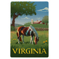 Lantern Press - WOOD POSTCARD Virginia Horse in Field