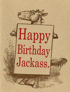 Lady Pilot Letterpress - Jackass Birthday Greeting Card