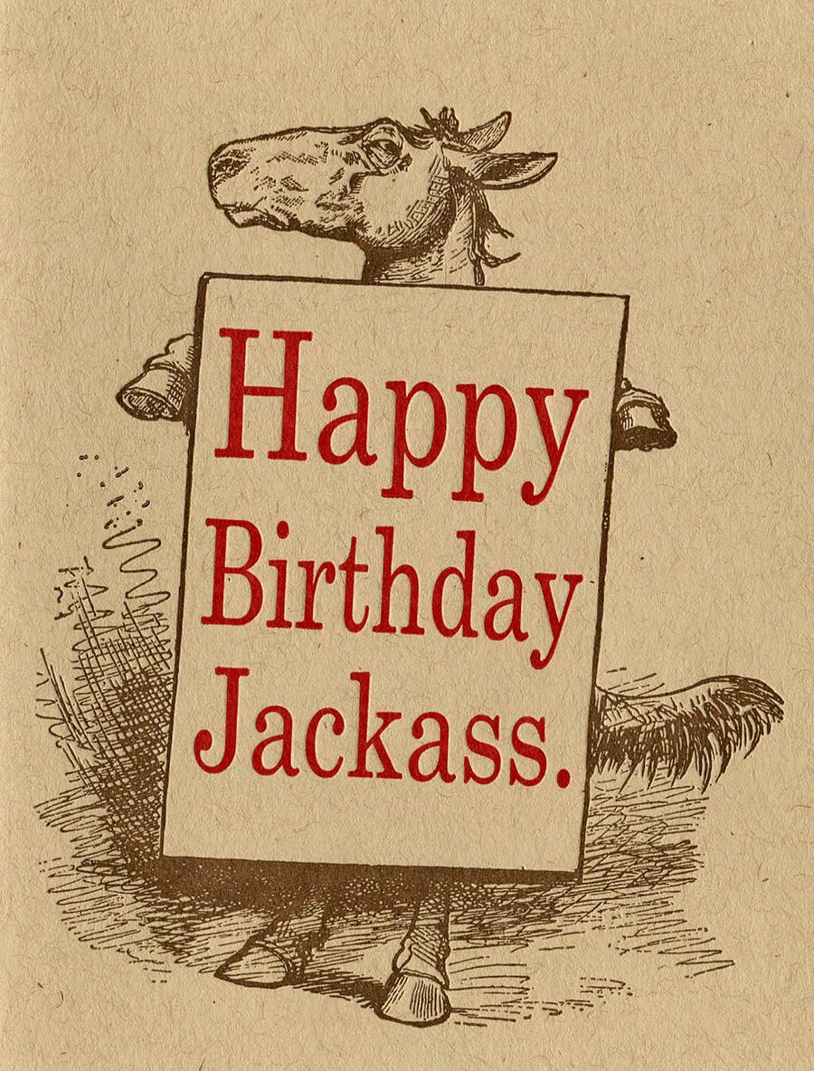 Lady Pilot Letterpress - Jackass Birthday Greeting Card
