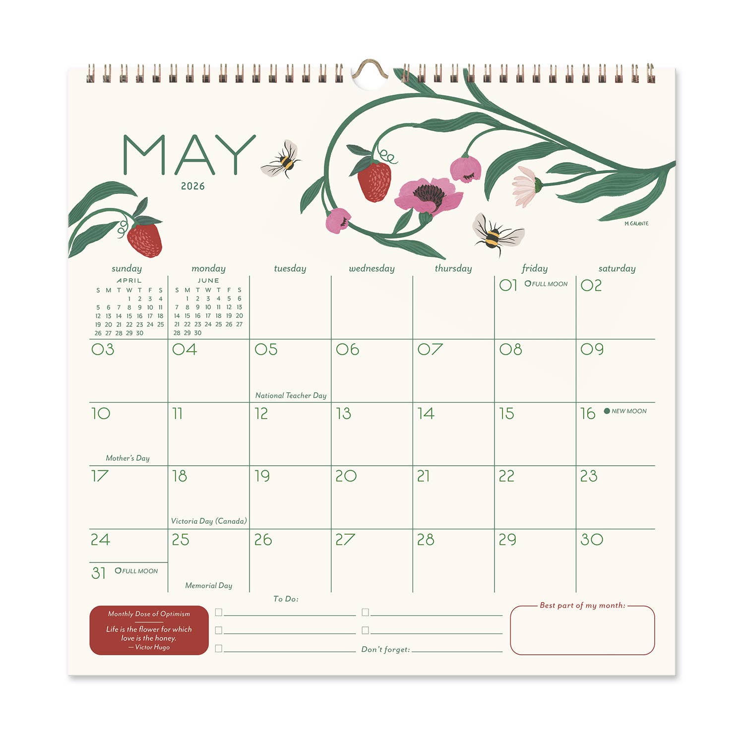 Seedlings - 2026 Seedlings Garden Party 12 Month Classic Grid Calendar