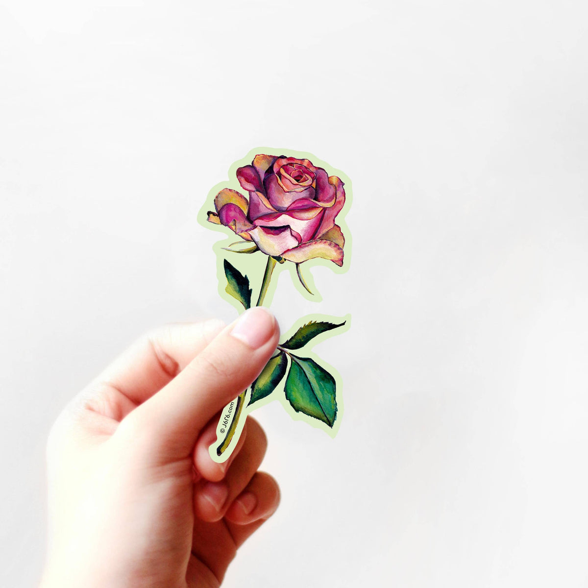J6R6 - Pink Long Stem Rose Vinyl Sticker