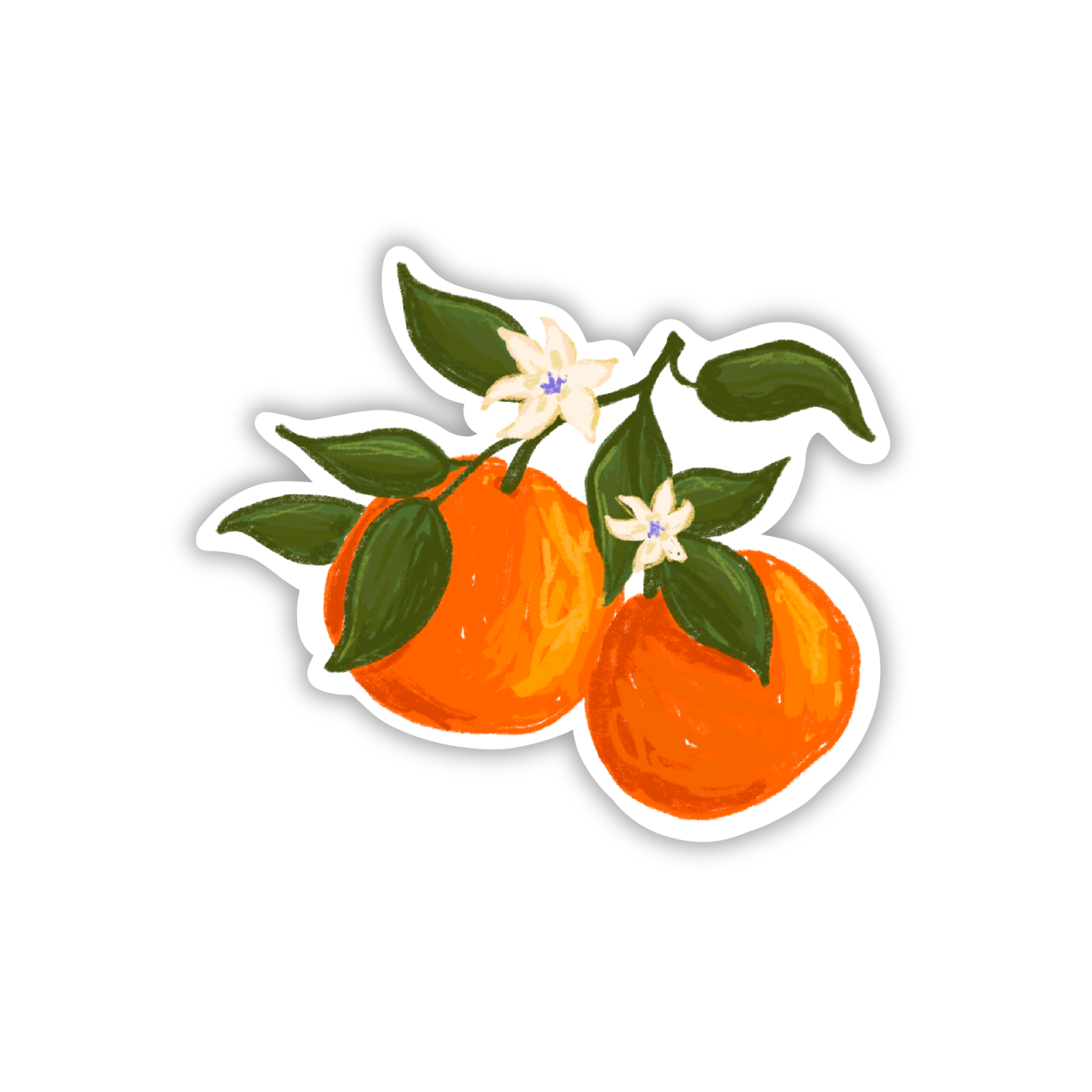 Studio Conroy - Oranges Die-Cut Sticker