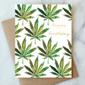 ABIGAIL JAYNE, CANNABIS BIRTHDAY