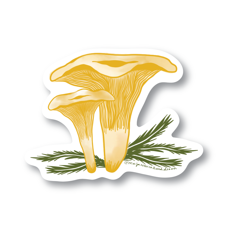 MAIJA REBECCA HAND DRAWN, STICKER, CHANTRELLE MUSHROOM