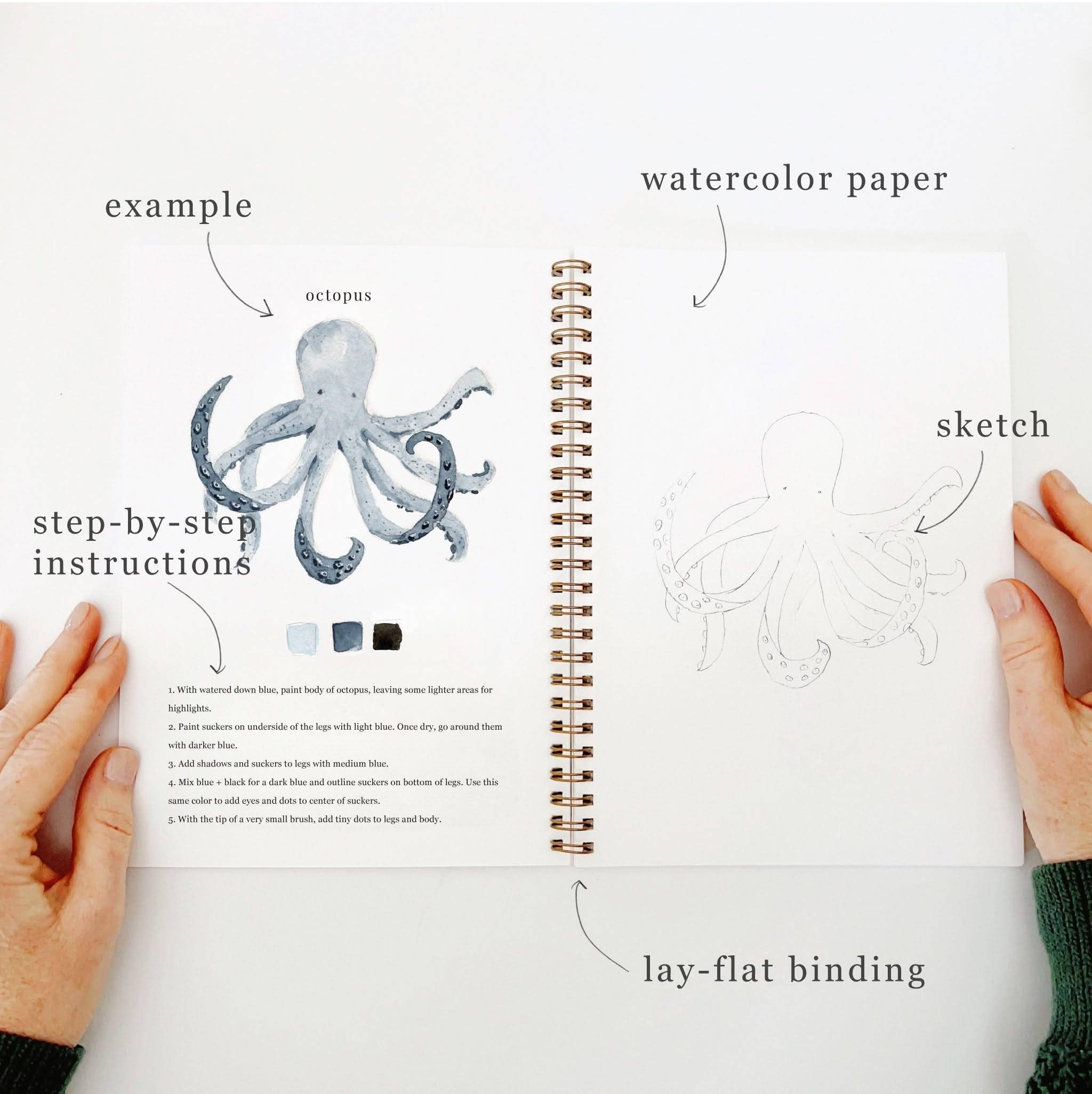 emily lex studio - Seaside watercolor workbook