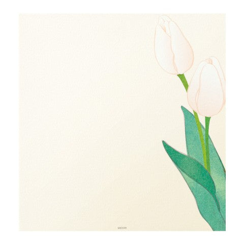MIDORI, LETTER PAD 157 FOUR DESIGNS SPRING FLOWER WHITE