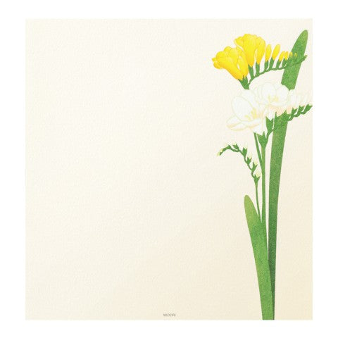 MIDORI, LETTER PAD 157 FOUR DESIGNS SPRING FLOWER WHITE