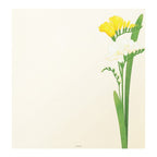 MIDORI, LETTER PAD 157 FOUR DESIGNS SPRING FLOWER WHITE