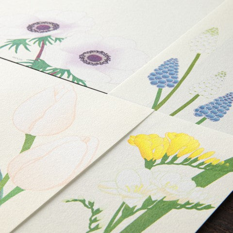 MIDORI, LETTER PAD 157 FOUR DESIGNS SPRING FLOWER WHITE