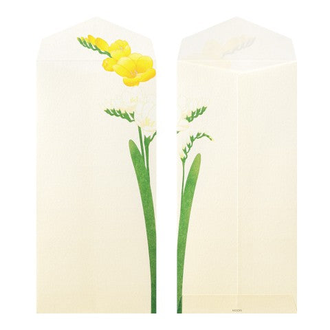 MIDORI, ENVELOPE 158 FOUR DESIGNS SPRING FLOWER WHITE