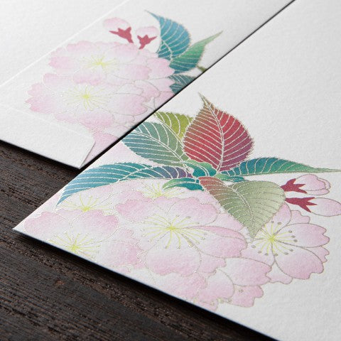 MIDORI, ENVELOPE 162 SILK-PRINTING BALL-SHAPED CHERRY BLOSSOM