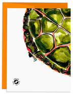 J6R6 - Painted Turtle Shello Card