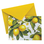 Graphique, La Petite Presse Citron Boxed Correspondence Notes
