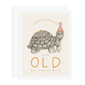 Ramus & Co. - Old Turtle
