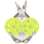 Dear Hancock - Pickleball Bunny