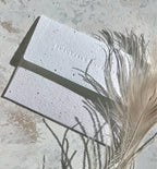 Seedlings - Hats Off - Graduation Card