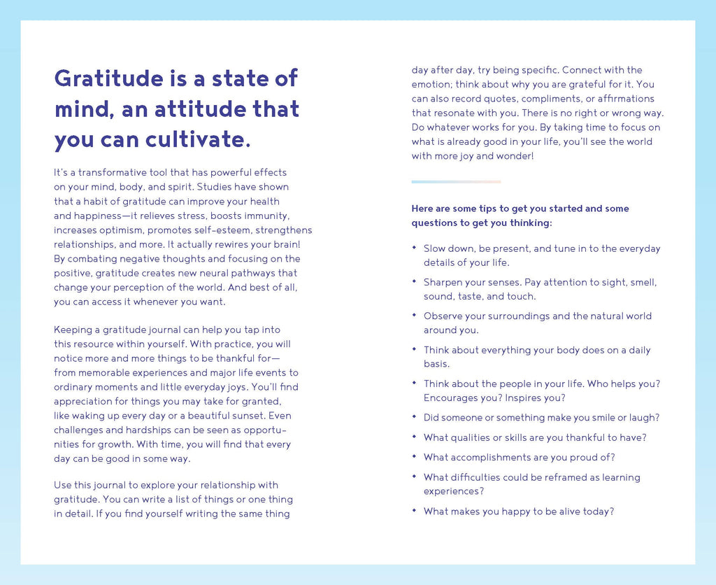 Chronicle Books - Gratitude One Line a Day