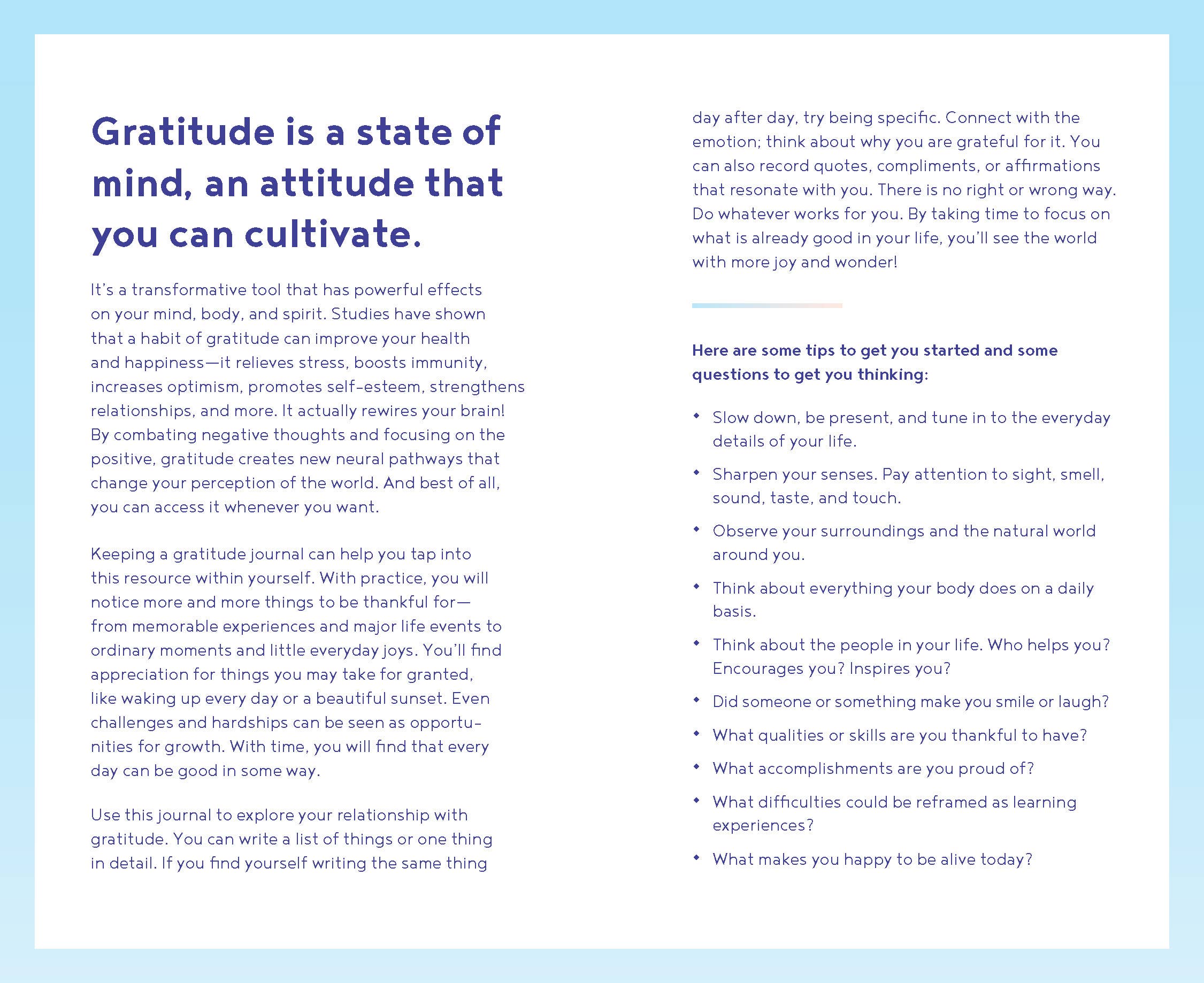 Chronicle Books - Gratitude One Line a Day